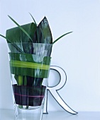 Eine Glasvase mit grünen Blättern vor einer Initiale aus Metall