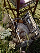 Ein geöffneter Picknickkorb im Gras