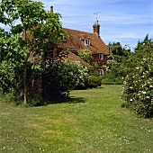 Sommerlicher Garten mit Rasen, Bäumen und Büschen vor einem Landhaus