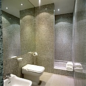 Designer-Toilette mit Spiegelwand und einer guten Beleuchtung