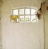 Weiß getünchte Wand mit kleinem Sprossenfenster und Gänseblümchen auf der Fensterbank