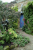 Alte Gartenpumpe im Beet und Ziegelmauer mit blauer Tür