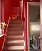 Katze auf Treppe im schmalen roten Treppenhaus und offene Tür