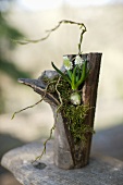 A spring flower arrangement in a piece of bark