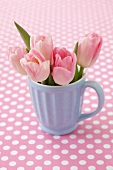 Pink tulips in a cup