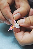 A butterfly sticker being peeled of the backing paper