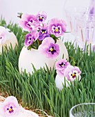 Pansies in egg vases on wheat grass table runner