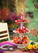 Tiered stand with red apples and ornamental apples