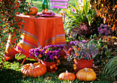 Table in open air, autumn flowers and pumpkins in front