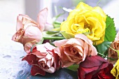 Bunch of different coloured roses