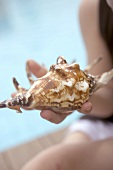 Child holding a sea shell