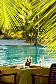 Gedeckter Tisch unter Palmen am Meer (Seychellen)