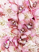 A bouquet of pink flowers (full-frame)