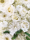 A bouquet of white flowers (full-frame)