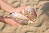 Woman on beach holding shell with pearls