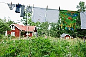 Washing lines in a garden with wooden houses in the background (Scandinavia)