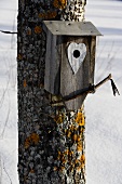 Bird house hanging on a tree in winter
