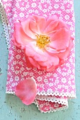 A pink rose on a cloth