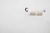 An empty toilet roll