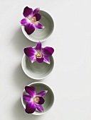 Orchid flowers in small porcelain bowls