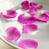 Floating rose petals