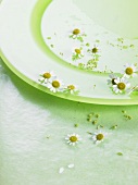 Flowers on green plate