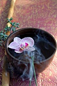 Schale mit Orchideenblüte, Räucherstäbchen
