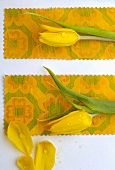 Two yellow tulips on pieces of fabric