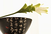 Schale mit asiatischen Schriftzeichen und Blume