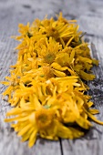 Drying arnica flowers