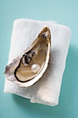 Frische Auster mit Perle auf Handtuch