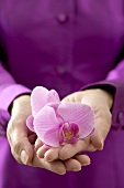 Frau hält Orchideenblüten