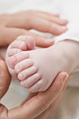 Hands holding a baby's feet