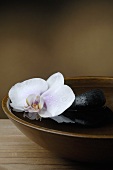 Healing stones and orchid in bowl of water