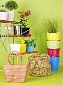 Shelving with flowerpots