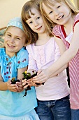 Drei Mädchen halten Blumenpflanzen