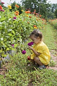 Little girl smelling flower in garden