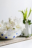 White amaryllis flowers