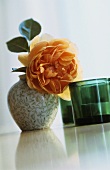 Orangefarbenen Rose in Vase, daneben grüne Teelichter