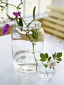 Orchid and rose in jar and glass vase