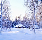 Schneebedeckte Hütten in Winterlandschaft