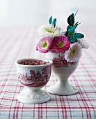 Daisies in a red-and-white porcelain egg cup