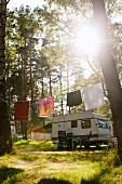 Wäscheleine vor Wohnwagen auf einem Campingplatz mit hohen Bäumen