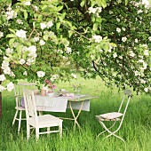 Gedeckter Gartentisch unter großem, blühendem Apfelbaum
