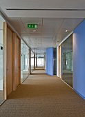 Lavender-blue wall elements in long, inviting hallway with window at the end and light from the side falling through glass offices