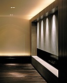 Lobby with frame-shaped wood built-in and recessed spotlights in teh niche