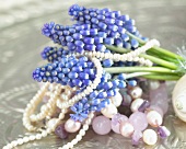 A bunch of grape hyacinths and jewellery in a bowl
