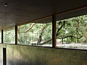 Continuous transom window with view of garden above concrete wall