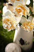 Narcissus flowers in an enamel jug