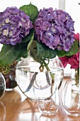 Lilac hydrangeas in glass vase